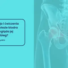 Rehabilitacja poszpitalna po endoprotezie biodra NFZ. Grafika przedstawia miednicę z zaznaczonymi stawami biodrowymi.