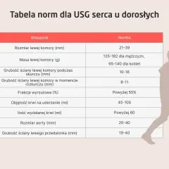 Tabela norm dla USG serca. Wskaźniki takie jak rozmiar lewej komory, masa, grubość ścian, frakcja wyrzutowa i objętość krwi na uderzenie. Echo serca w normie.