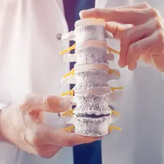 Lekarz pokazuje model kręgosłupa, wyjaśniając, czym jest dyskopatia.