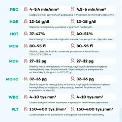 Wyniki mcv morfologia: średnia objętość krwinki czerwonej 80-95 fl. Tabela zawiera normy dla RBC, HGB, HCT, MCH, MCHC, WBC, PLT.