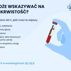 Ręka w rękawiczce trzyma probówkę z krwią. Obok lista objawów anemii i informacja o normie MCV.