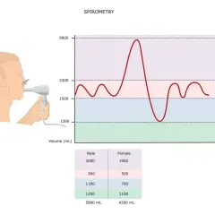 Badanie spirometria: wykres objętości płuc i aparat do pomiaru oddechu. Tabela porównuje dane mężczyzn i kobiet.