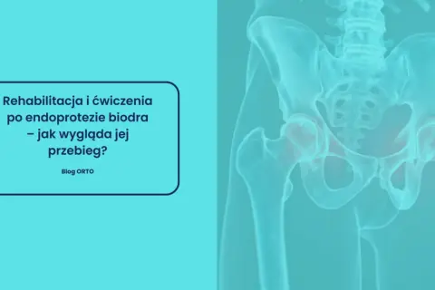 Rehabilitacja poszpitalna po endoprotezie biodra NFZ. Grafika przedstawia miednicę z zaznaczonymi stawami biodrowymi.