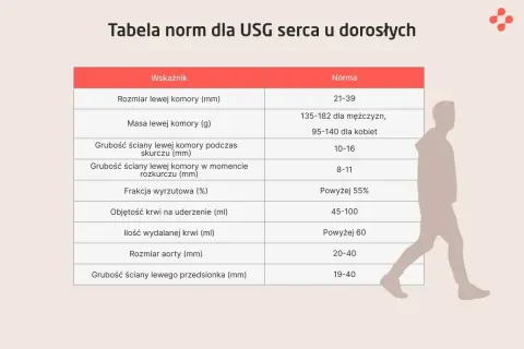 Tabela norm dla USG serca. Wskaźniki takie jak rozmiar lewej komory, masa, grubość ścian, frakcja wyrzutowa i objętość krwi na uderzenie. Echo serca w normie.