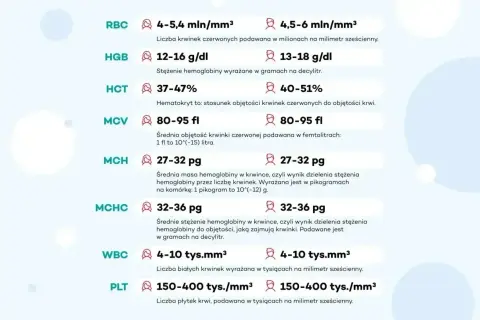 Wyniki mcv morfologia: średnia objętość krwinki czerwonej 80-95 fl. Tabela zawiera normy dla RBC, HGB, HCT, MCH, MCHC, WBC, PLT.