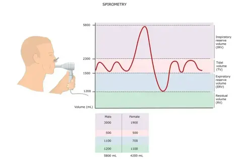 Badanie spirometria: wykres objętości płuc i aparat do pomiaru oddechu. Tabela porównuje dane mężczyzn i kobiet.