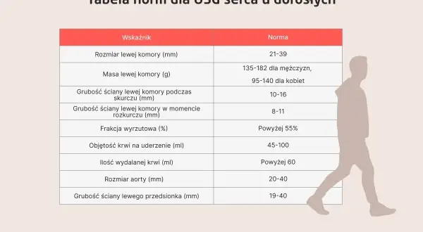 Tabela norm dla USG serca. Wskaźniki takie jak rozmiar lewej komory, masa, grubość ścian, frakcja wyrzutowa i objętość krwi na uderzenie. Echo serca w normie.
