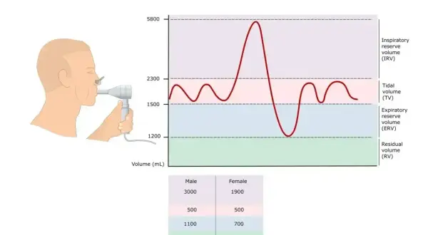Badanie spirometria: wykres objętości płuc i aparat do pomiaru oddechu. Tabela porównuje dane mężczyzn i kobiet.