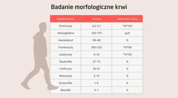 Tabela z badaniem morfologicznym krwi, pokazująca normy dla erytrocytów, hemoglobiny, hematokrytu, trombocytów, leukocytów i innych. Pytanie "pdw co to" może dotyczyć parametrów z tej tabeli.