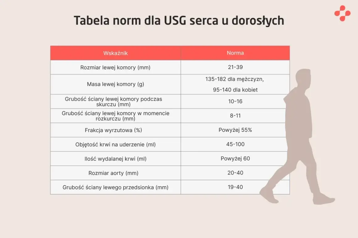 Tabela norm dla USG serca. Wskaźniki takie jak rozmiar lewej komory, masa, grubość ścian, frakcja wyrzutowa i objętość krwi na uderzenie. Echo serca w normie.
