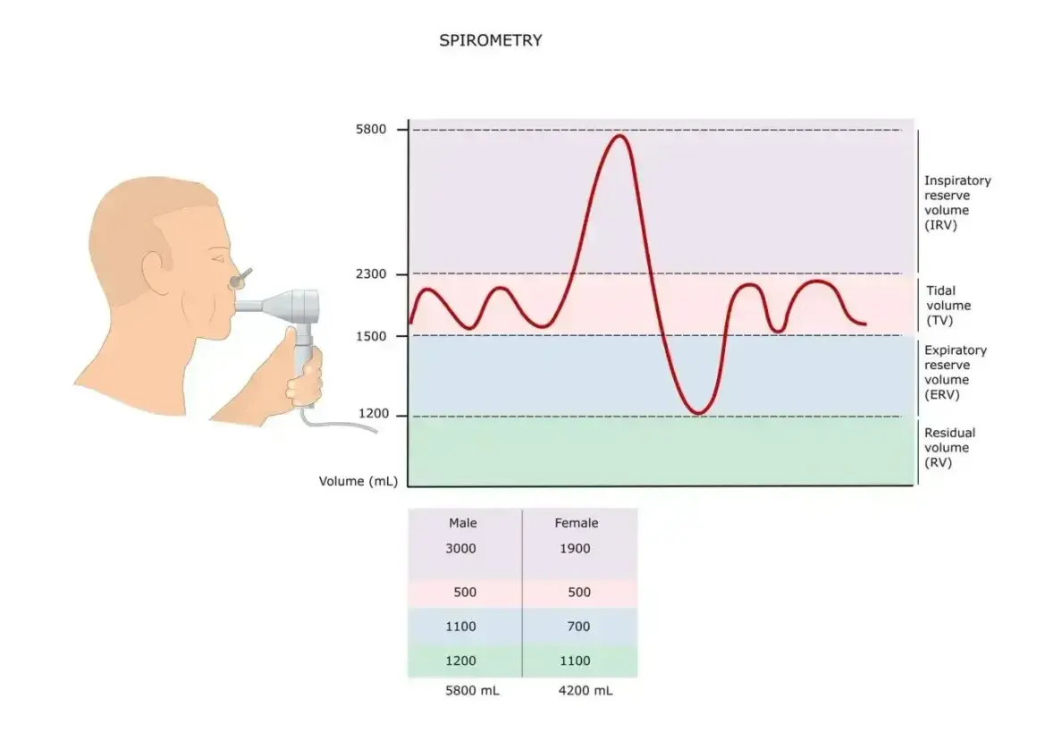 Badanie spirometria: wykres objętości płuc i aparat do pomiaru oddechu. Tabela porównuje dane mężczyzn i kobiet.