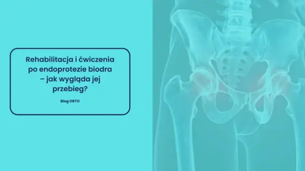 Rehabilitacja poszpitalna po endoprotezie biodra NFZ. Grafika przedstawia miednicę z zaznaczonymi stawami biodrowymi.