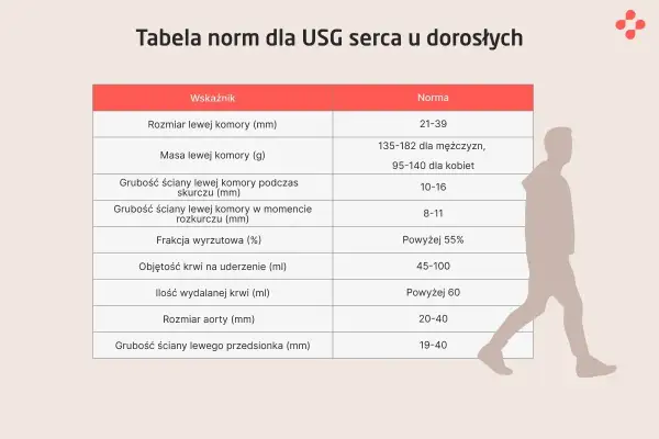 Tabela norm dla USG serca. Wskaźniki takie jak rozmiar lewej komory, masa, grubość ścian, frakcja wyrzutowa i objętość krwi na uderzenie. Echo serca w normie.