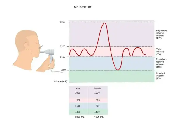 Badanie spirometria: wykres objętości płuc i aparat do pomiaru oddechu. Tabela porównuje dane mężczyzn i kobiet.